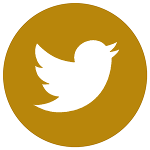 twitter-icon